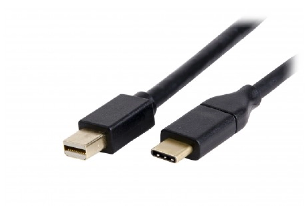 LMP USB-C to Mini-DisplayPort cable
