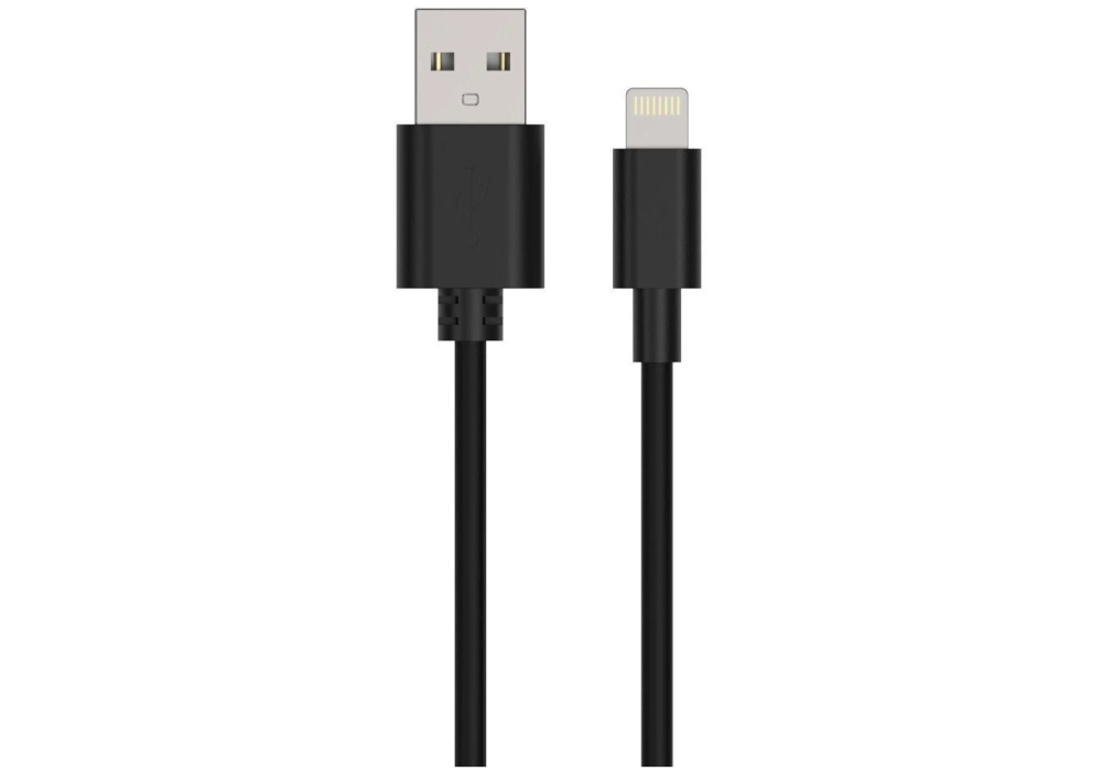 Ansmann Câble chargeur USB USB A, 100 cm