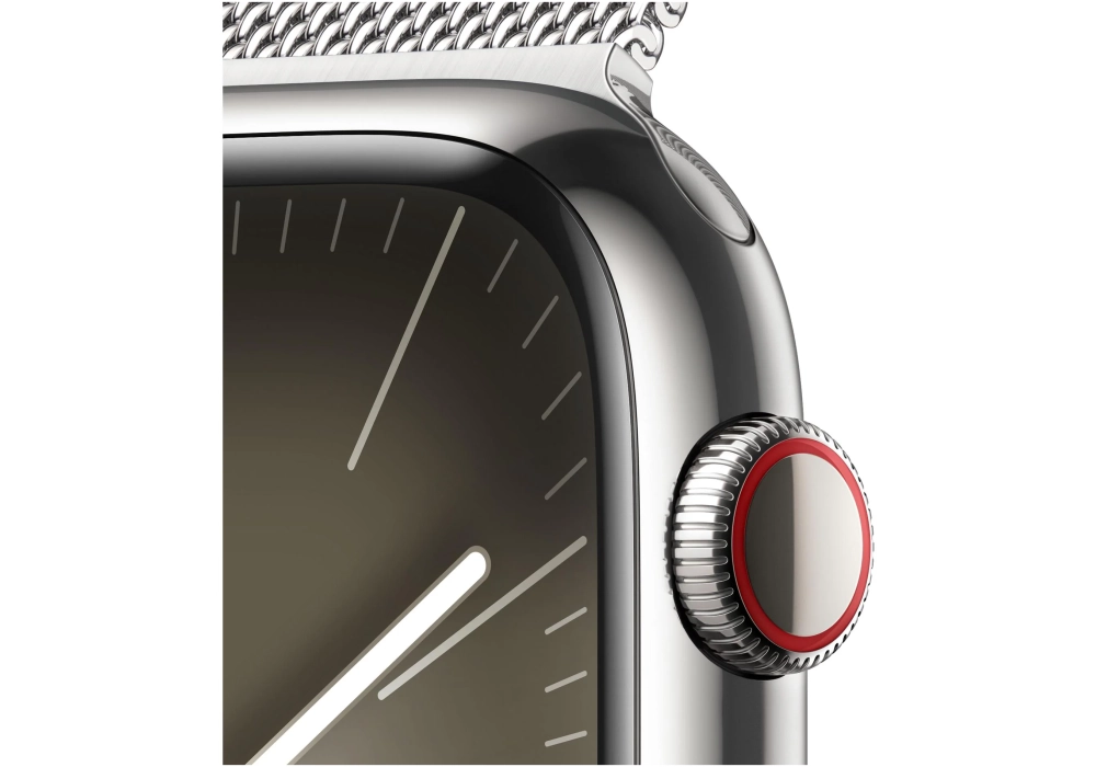 Apple Watch Series 9 45 mm LTE Argent Milanais Loop