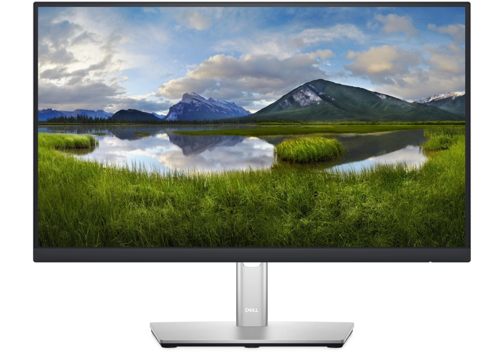 DELL Moniteur P2222H