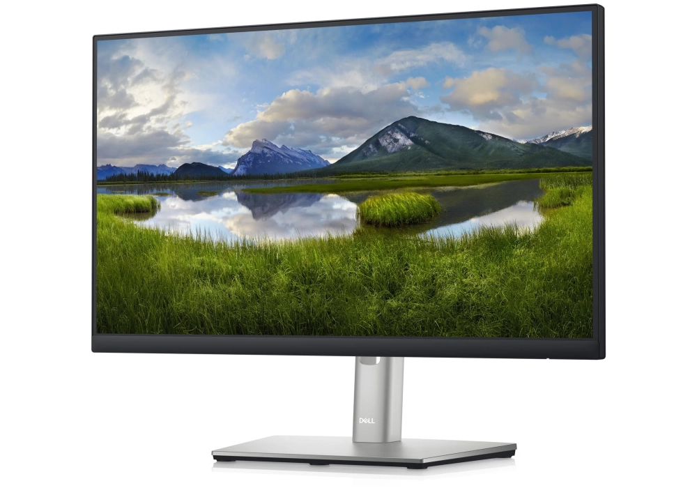 DELL Moniteur P2222H