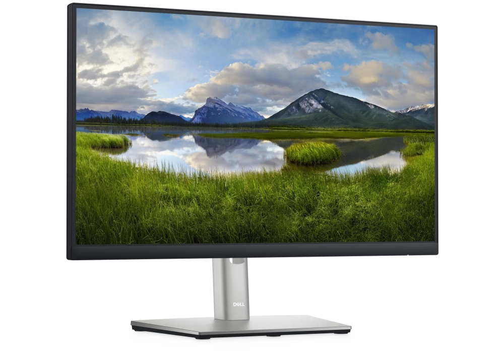 DELL Moniteur P2222H