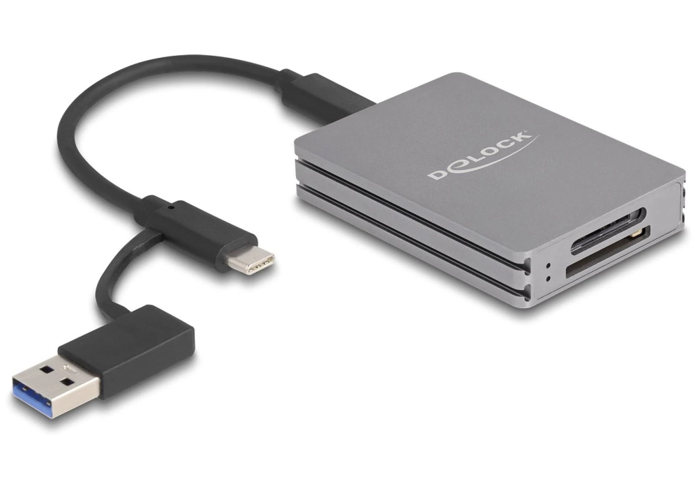 Delock Card Reader Extern 91013 USB type-C pour SD/CFexpress Type A 