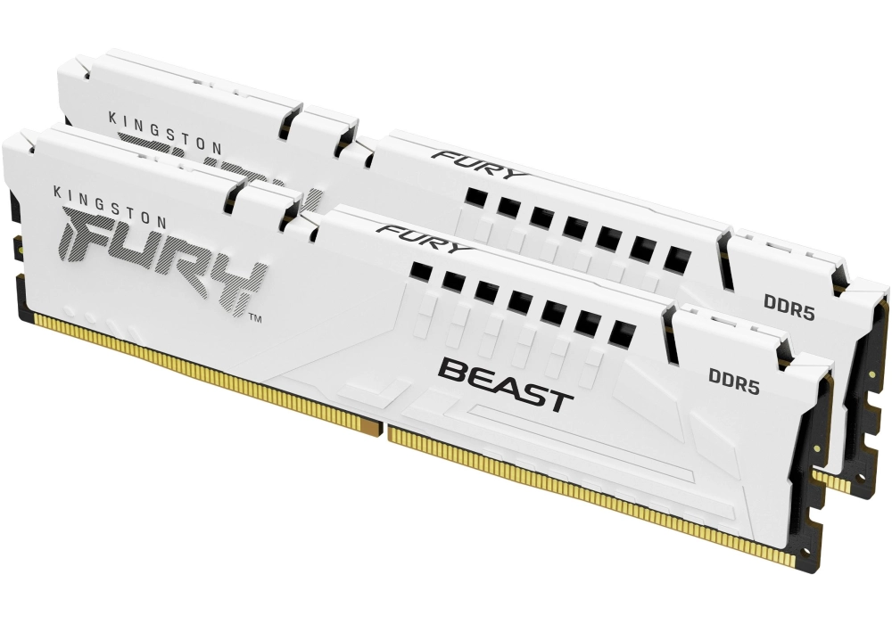 Kingston DDR5-RAM FURY Beast Blanc 6000 MHz 2x 16 GB