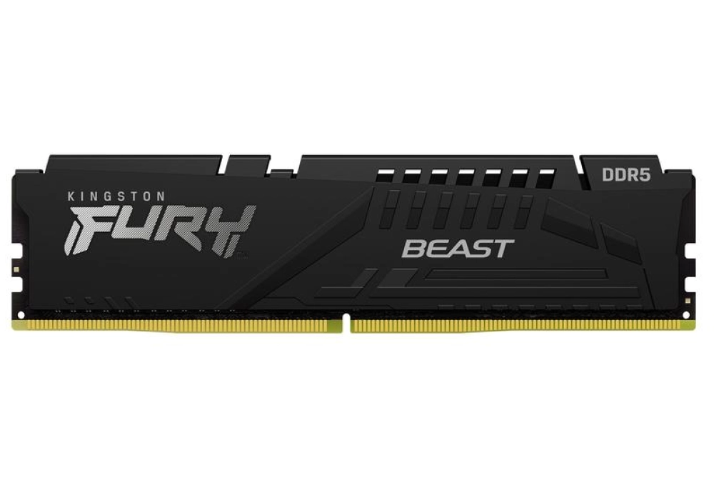 Kingston FURY Beast DDR5-6000 - 8GB (CL40)