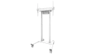 NEOMOUNTS Trolley TV FL55-875WH1 Blanc