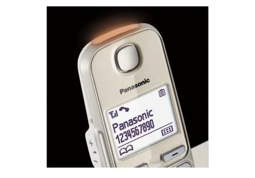 Panasonic Téléphone sans fil KX-TGE250SLN Champagne